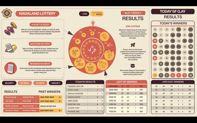 Nagaland Lottery Result Today body image